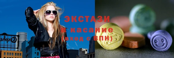стаф Тайга