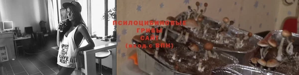гидропоника Вязьма