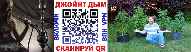 Бошки марихуана индика  Ртищево 